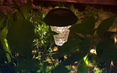 Bright Idea: 5 Reasons Solar Lighting Makes Sense for Homeowners