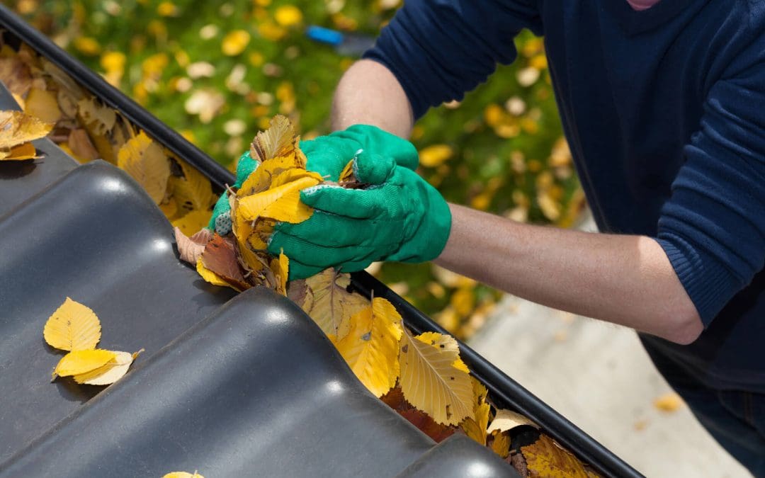 Clear the Way: The Homeowner’s Guide to Cleaning Your Gutters